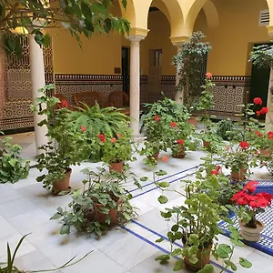 estudio-centro-con-cocina.es-andalucia.com/