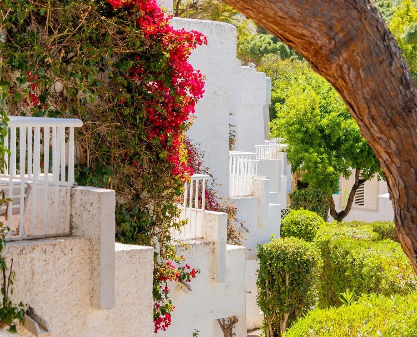 Atlas Apartments Ibiza Santa Eularia des Riu